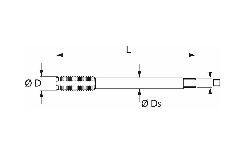 HSS- E 폼 CM10 타이핑 기계 (Machine tap HSS-E Form C M10)