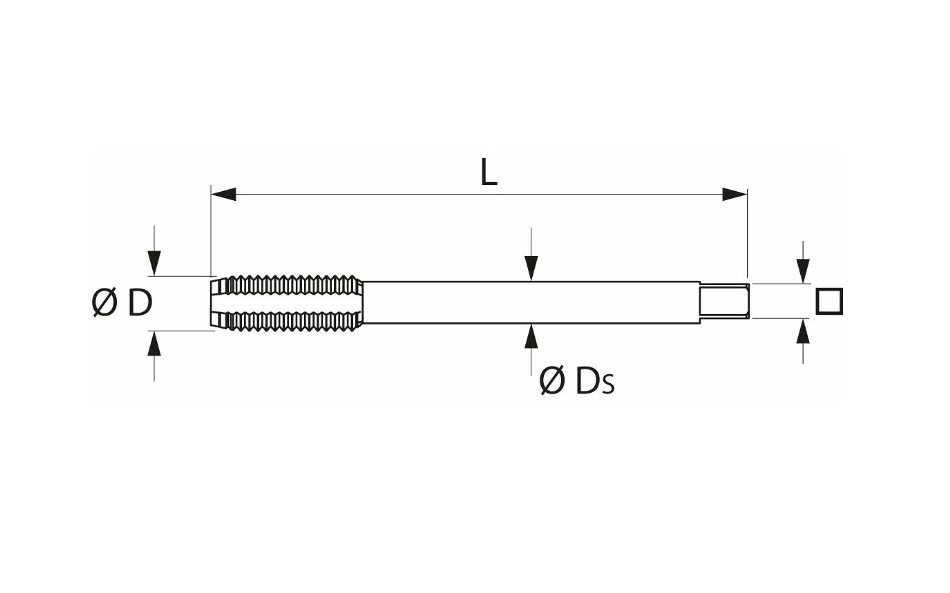 HSS- E 폼 CM12 타이핑 기계 (Machine tap HSS-E Form C M12)